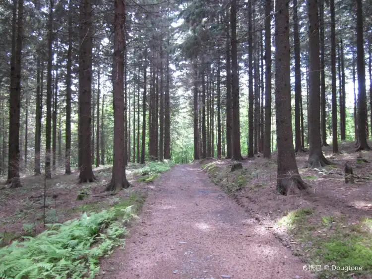 Hotels in Warrensburg