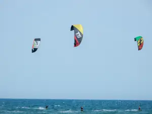 Costa Kite