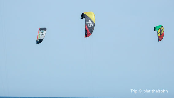 Costa Kite