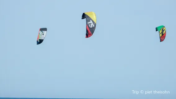 Costa Kite