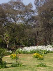 부다 자얀티 공원