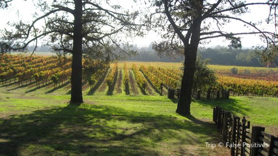 Gundlach Bundschu Winery