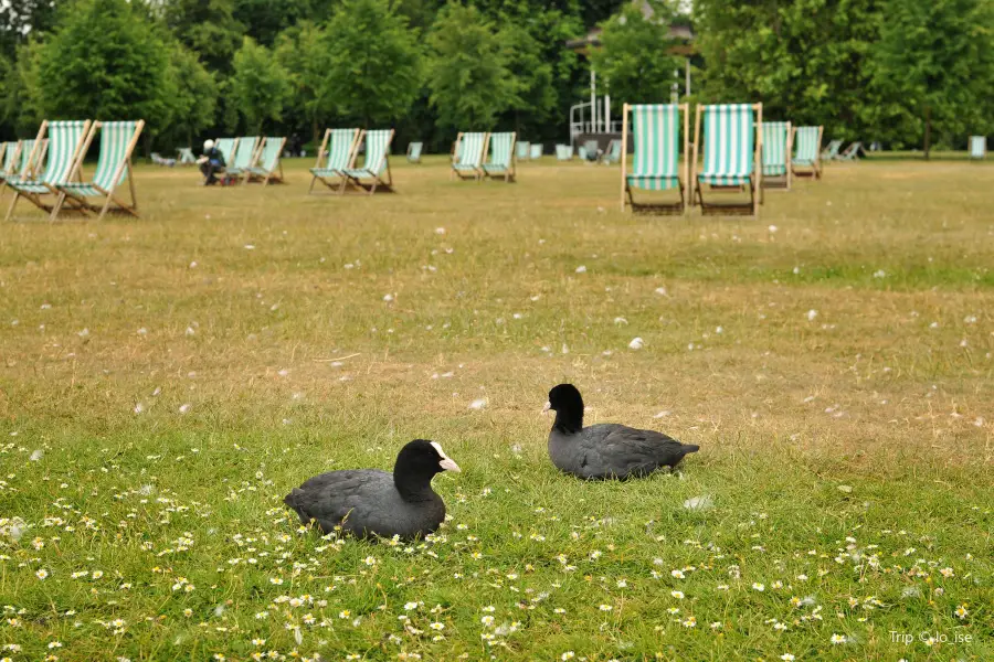 Round Pond