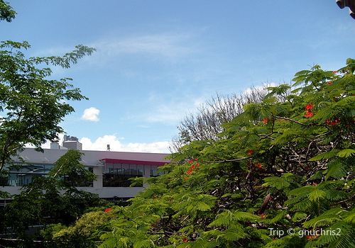 Decker Park