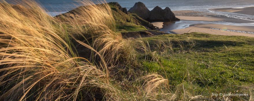 Gower Peninsula