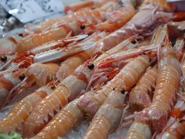 Big Bear Shrimp and Seafood