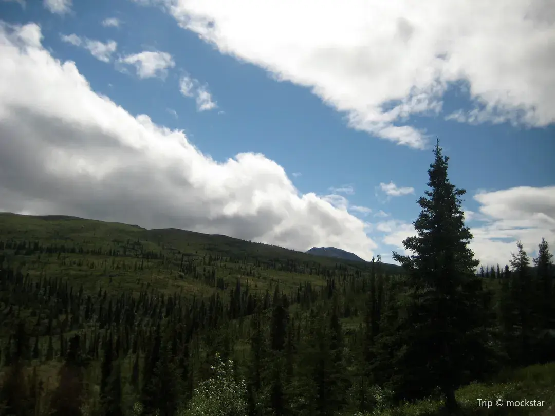 2_Blue Spruce Park