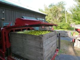 Parshallville Grist Mill