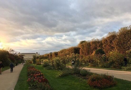 Jardin des serres d'Auteuil
