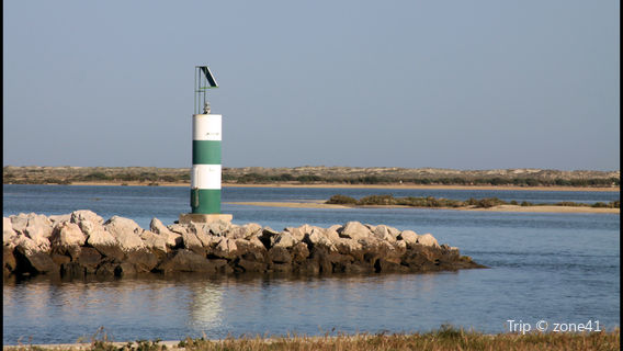 Fuseta