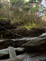 Boone's Cave Park