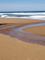 Alburg Dunes State Park