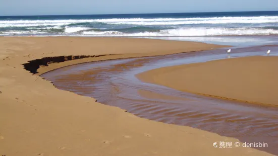 Alburg Dunes State Park