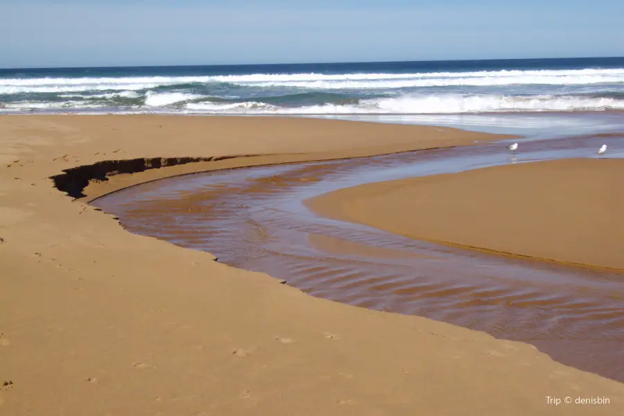 Alburgh Dunes State Park