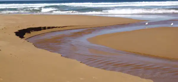 Hotels in Alburgh