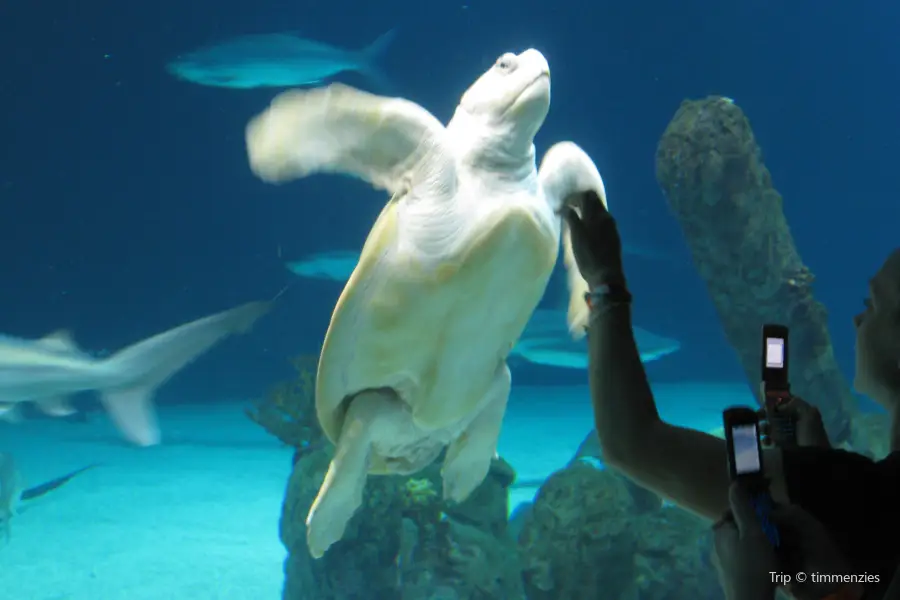 ABQ BioPark Aquarium