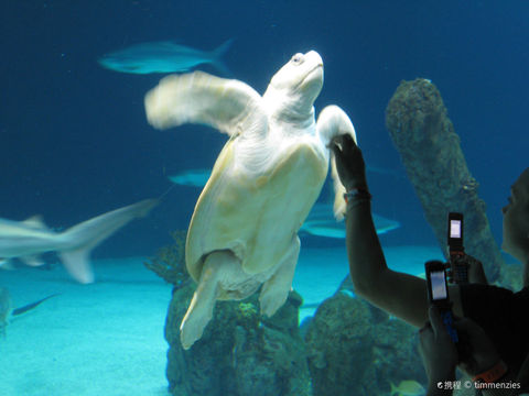 ABQ BioPark Aquarium