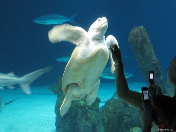 ABQ BioPark Aquarium