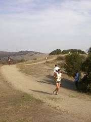 Toro County Park