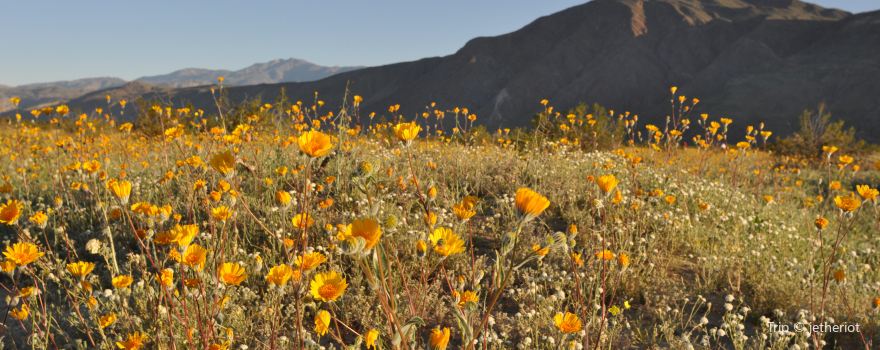 Spur Cross Ranch Conservation