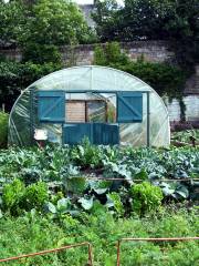 Gorgie City Farm & Cafe