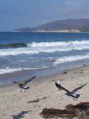 El Capitán State Beach