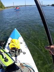 Rowing Dock