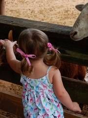 Horse Power for Kids & Animal Sanctuary