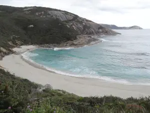 South Cape Beach State Park