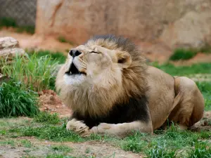 North Carolina Zoo