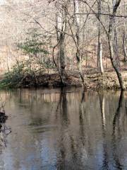 Foresta nazionale Croatan