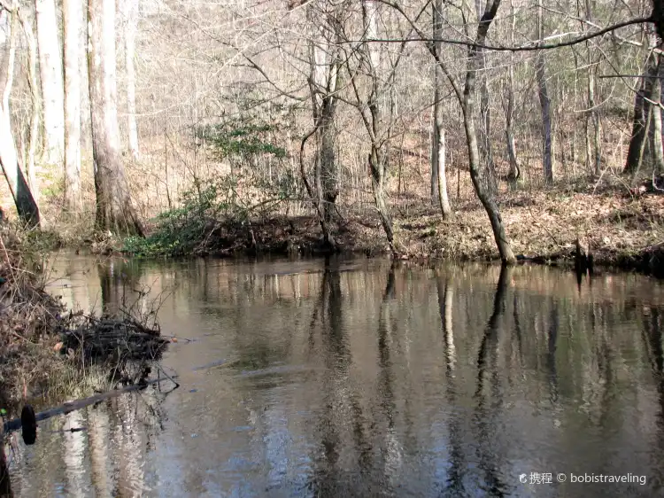 Craven County