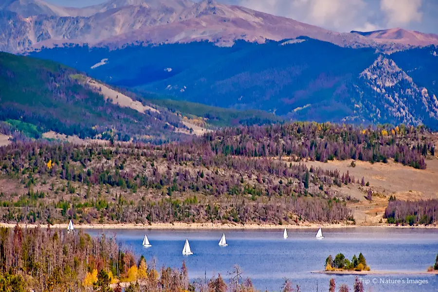 Frisco Bay Marina