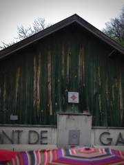 Cueva de Font-de-Gaume