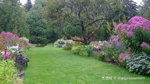 Thuya Garden