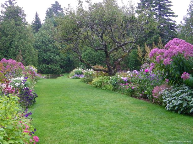Thuya Garden