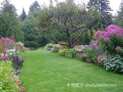 Thuya Garden