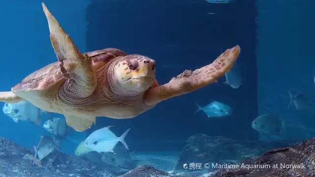 The Maritime Aquarium at Norwalk