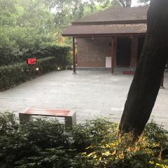 顺风山庄(大岗店) User Photo
