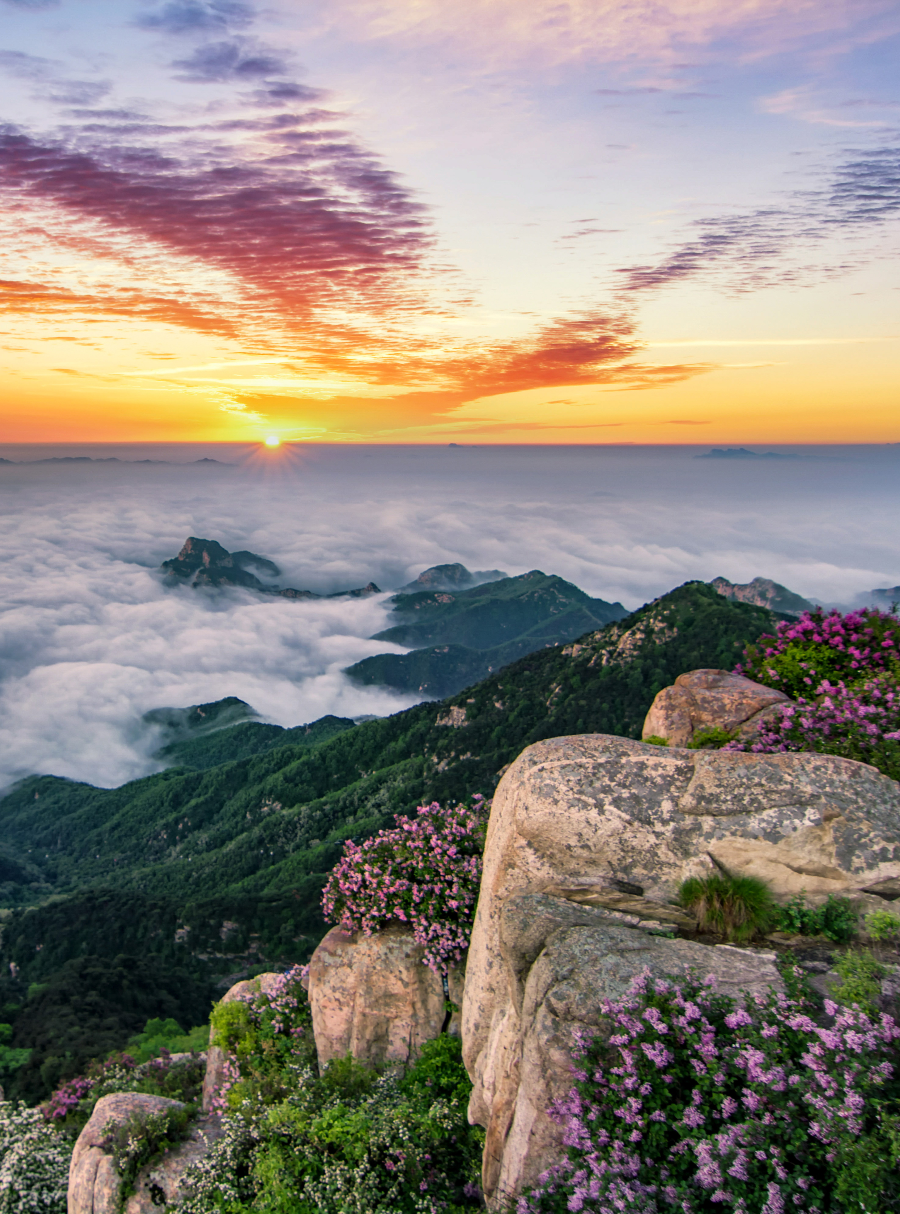 2025 Tai'an Travel Guide: Must-see attractions, popular food, hotels, transportation routes (updated in July)