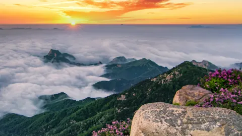 Tai'an travel destination
