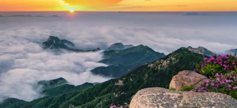 泰山附近的飯店