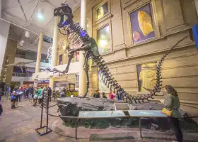 Denver Museum of Nature & Science