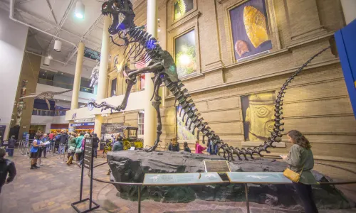 Denver Museum of Nature & Science