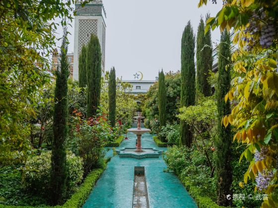 Grande Mosquée de Paris