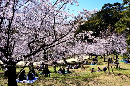 สวนนิชิ (Nishi Park)