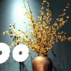 西湖春天·粤菜 User Photo