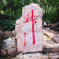 評論圖片 8