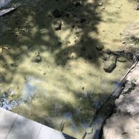 評論圖片 4