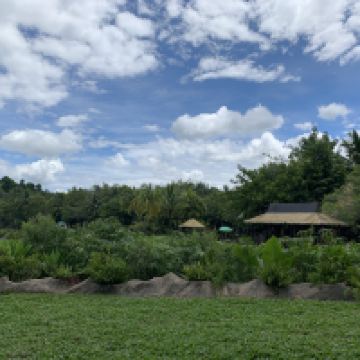 評論圖片 4